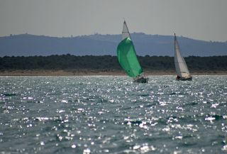 [Immagine: 201391916814_regata_emidio_anelli_67.jpg]